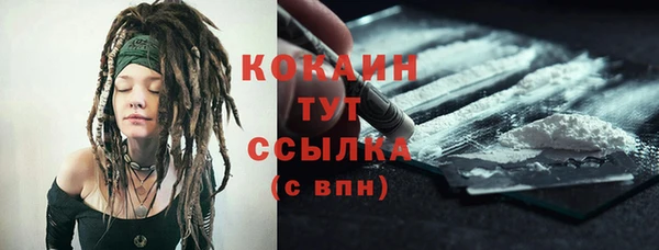 спиды Бородино