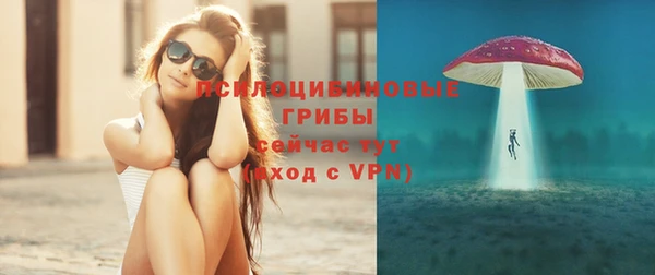 ГАЛЛЮЦИНОГЕННЫЕ ГРИБЫ Бугульма