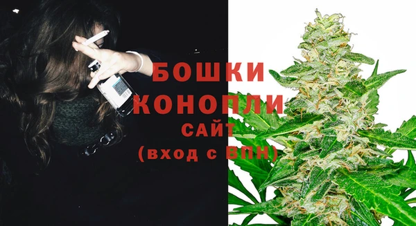 спиды Бородино
